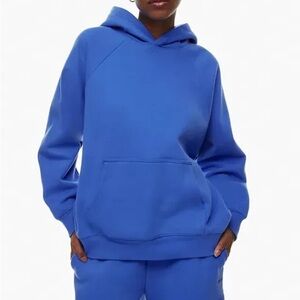 Aritzia Cozy Fleece Perfect Hoodie